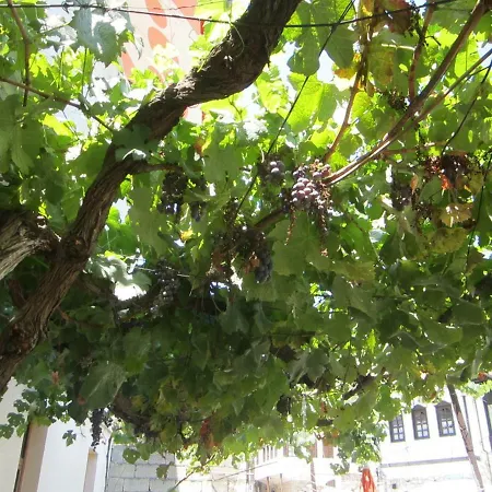 招待所 阿迪多加旅馆