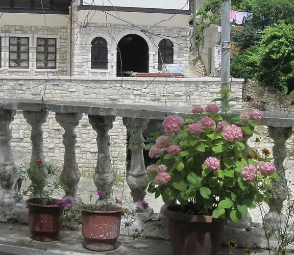 Pensjonat Adi Doga *